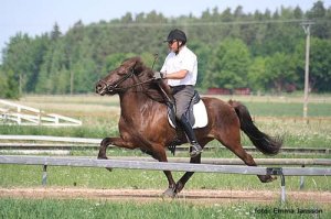 198_10832763162_2355_n