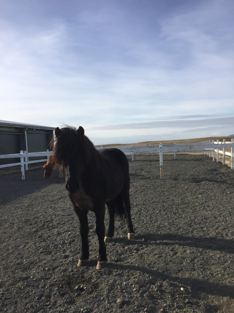 9E737AFB-16F8-46D1-A117-5B7B86668784