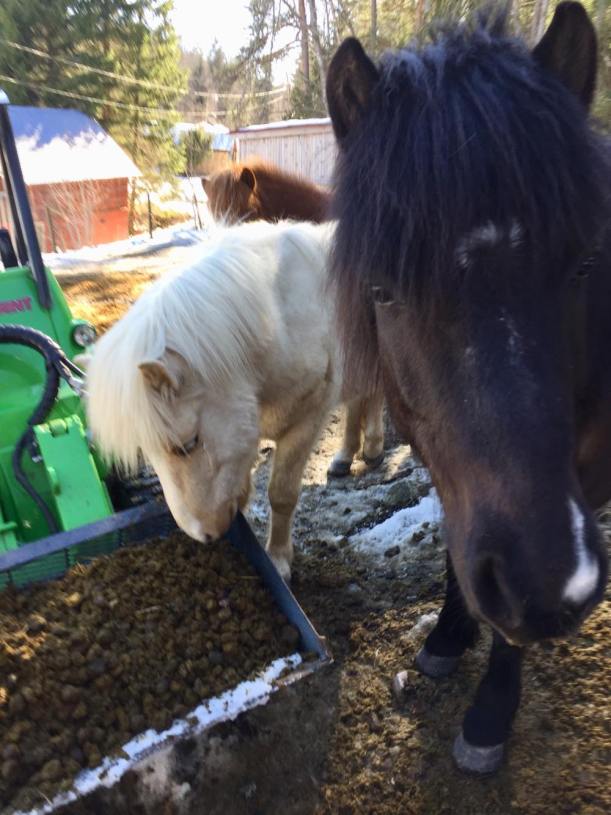 29994830_10155644465453163_201751117_o