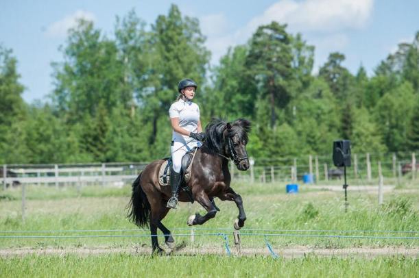 35067610_10155796111273163_7753090463829065728_n