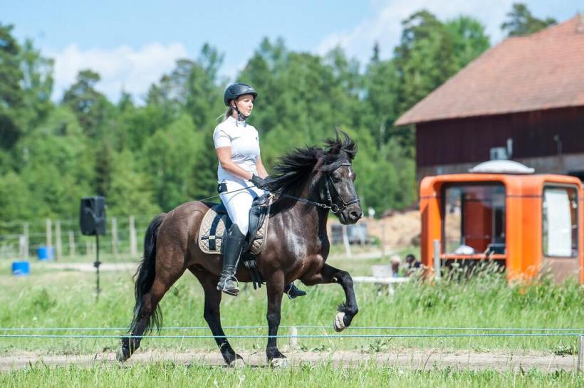 35168753_10155796111248163_6651126362482409472_n