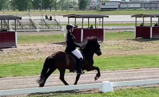 Skärmavbild 2019-05-27 kl. 12.31.09