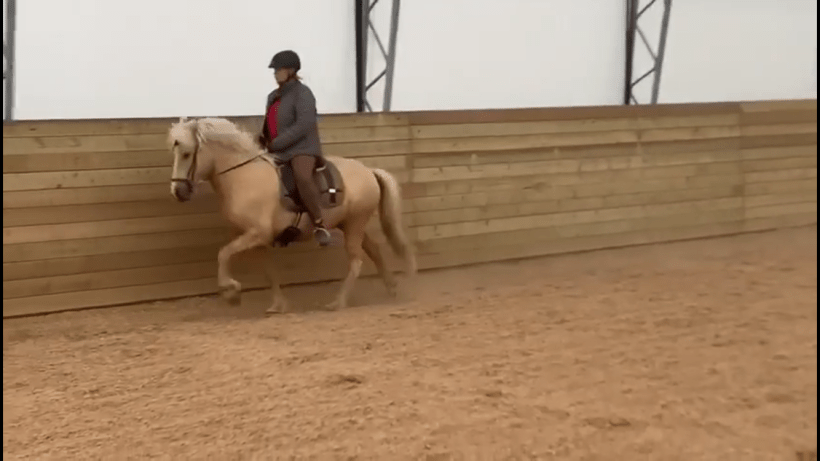 66909185_385767502076925_5652557276595093504_n