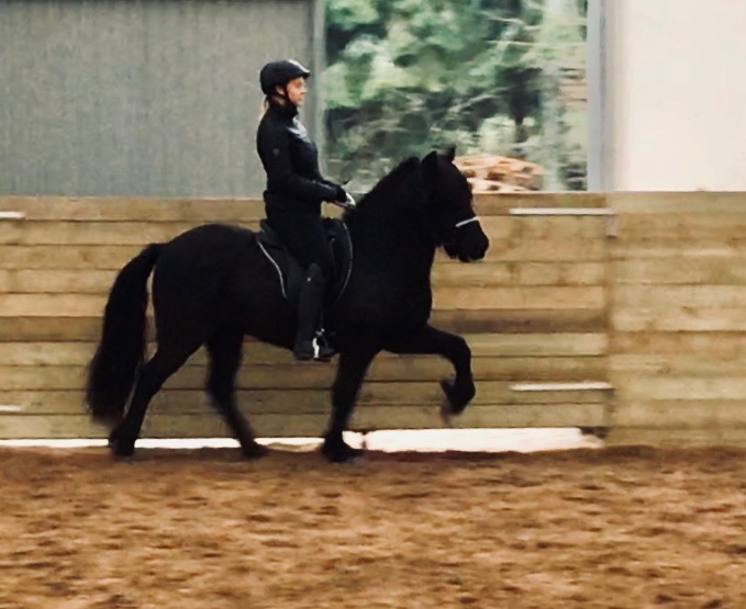 73388379_482427032356436_8326172988130983936_n