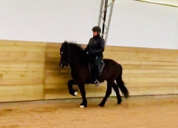 90788797_891435244629522_7718431911701381120_n