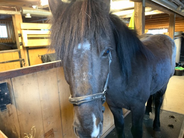 91482361_534607987259107_582767838763155456_n (1)