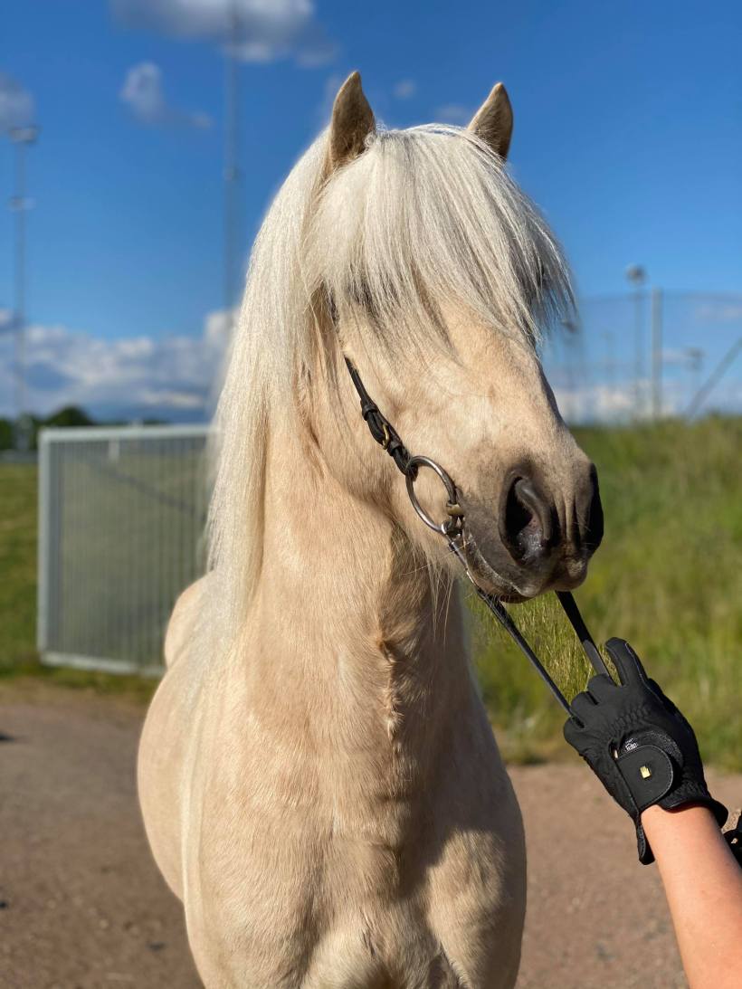 103957001_190640195564787_1856514301558246792_n